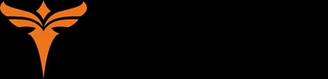 Engwe US logo